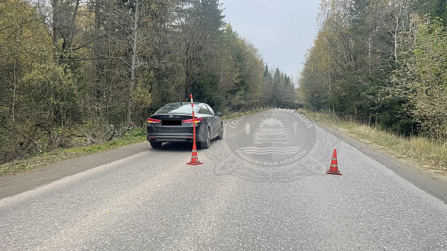 Нетрезвый водитель сбил пешехода в Комсомольском районе